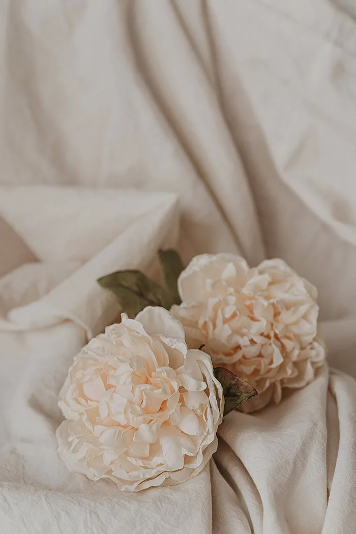 test-m-de-mama-26-19